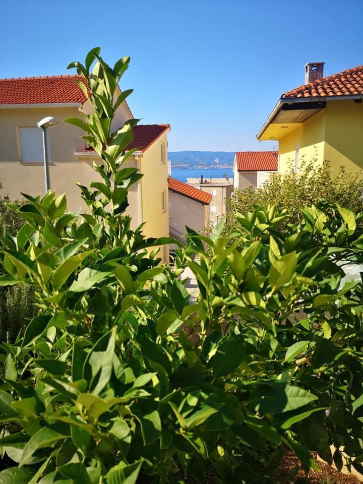 Apartmani Livajic Duće エクステリア 写真